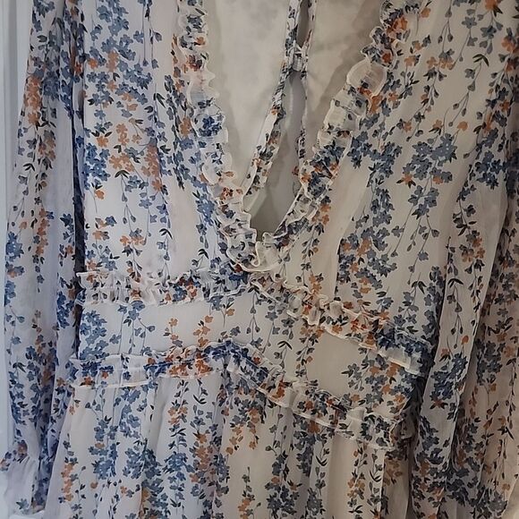 Floral Sheer Ruffle Mini Dress - Picture 6 of 6